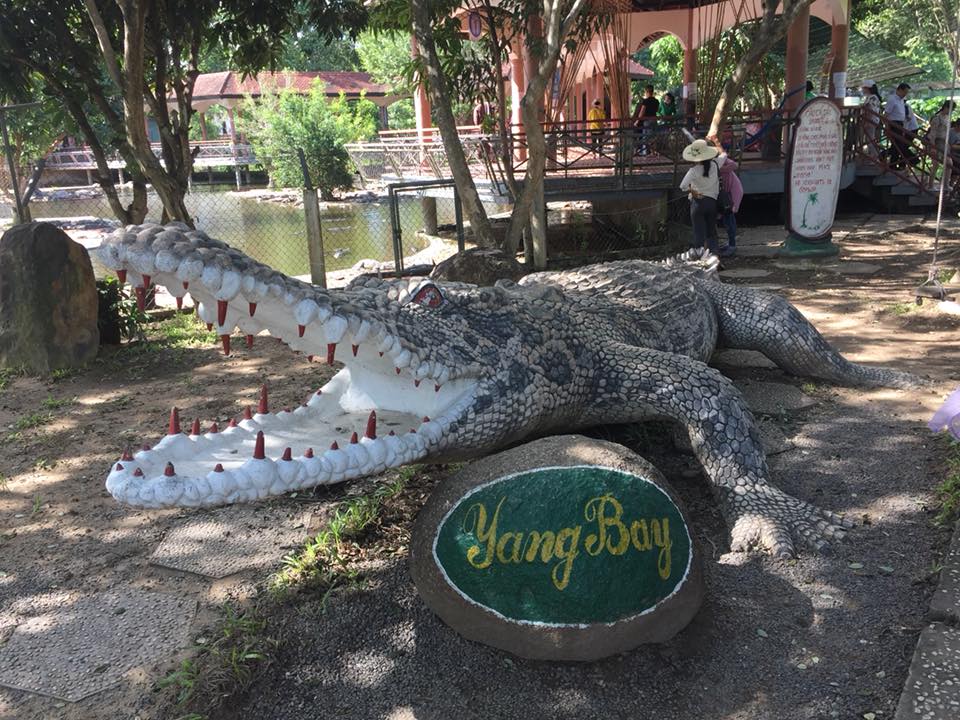 KINH NGHIỆM ĐI YANG BAY